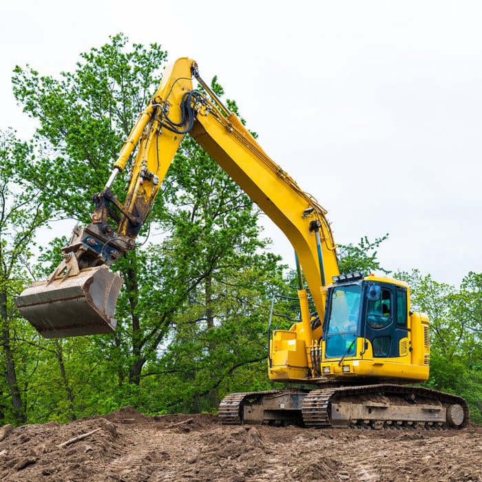 Buds of growth: contemplations on the Spring budget