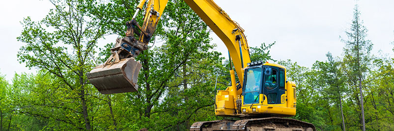 Buds of growth: contemplations on the Spring budget