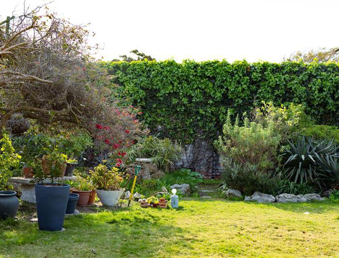 The long weekend and the short fuse