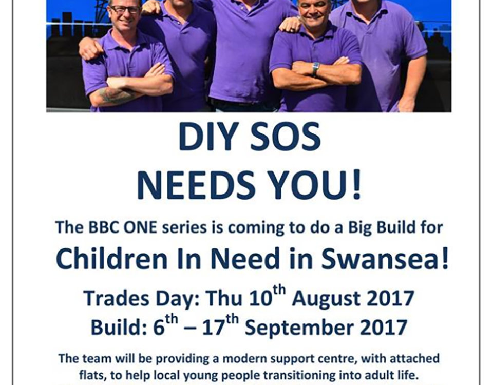 DIY SOS Needs You