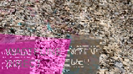 Waste and recycling on site